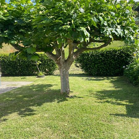 Villa Moradia Rustica Jardim Caloura Exterior foto